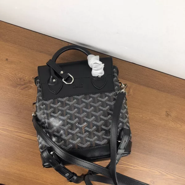 GOYARD Alpin Mini Backpack 0118