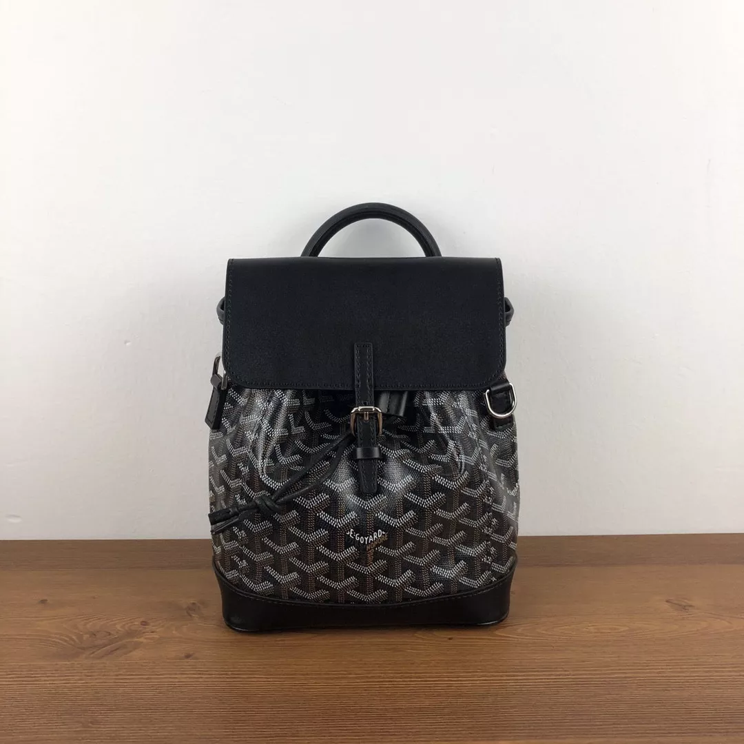 GOYARD Alpin Mini Backpack 0118