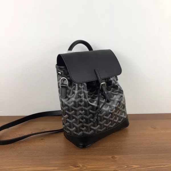 GOYARD Alpin Mini Backpack 0118