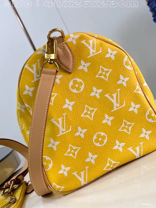 40 SPEEDY Vuitton Louis 0212