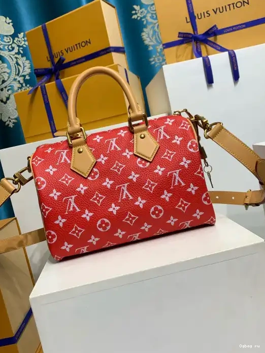 25 LOUIS Bandoulière  P9 Speedy VUITTON 0224