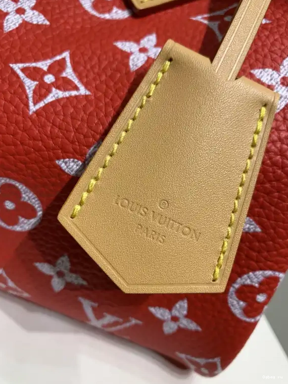 25 LOUIS Bandoulière  P9 Speedy VUITTON 0224