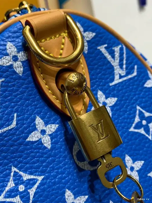 SPEEDY 25 Vuitton Louis 0223