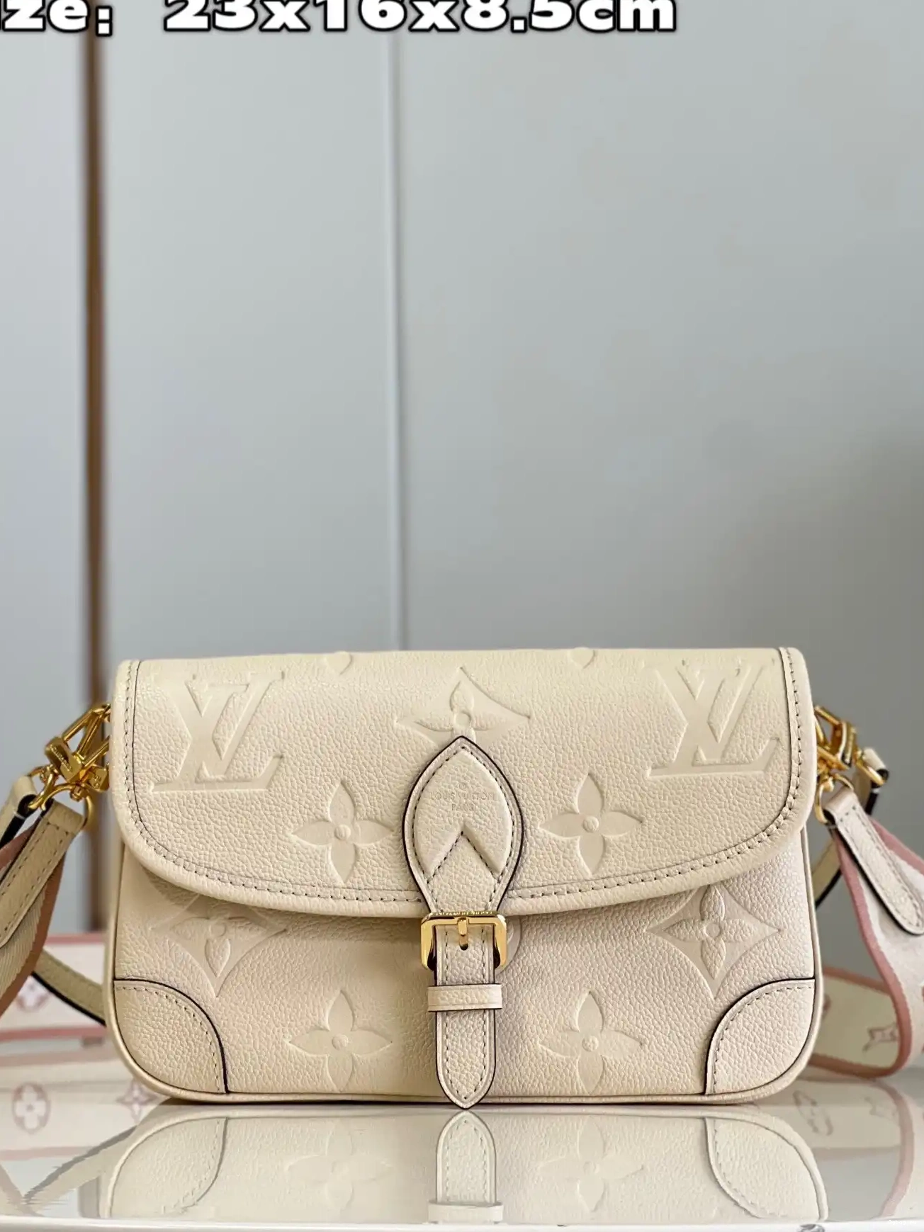 LOUIS VUITTON Diane Nano 0218