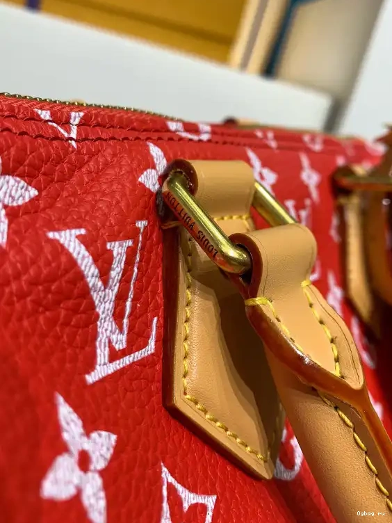 25 LOUIS Bandoulière  P9 Speedy VUITTON 0224