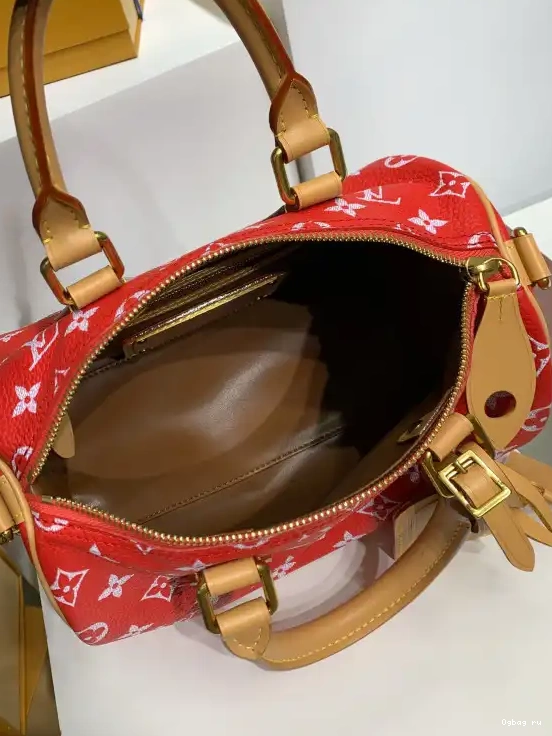 25 LOUIS Bandoulière  P9 Speedy VUITTON 0224