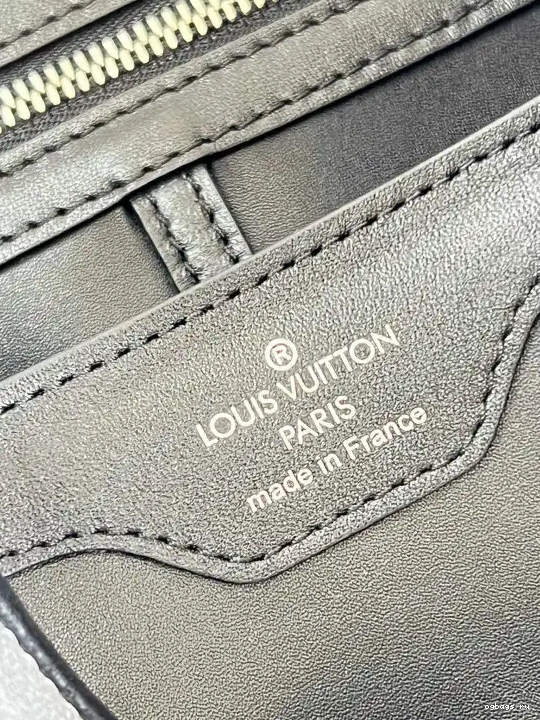 VUITTON CAPUCINES BB LOUIS 0209