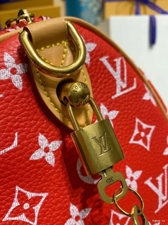 25 LOUIS Bandoulière  P9 Speedy VUITTON 0224