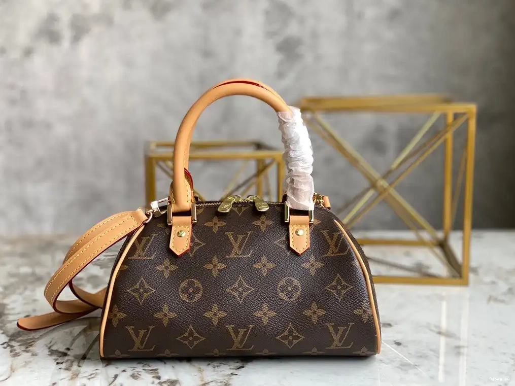 LOUIS VINTAGE VUITTON BAG 0226