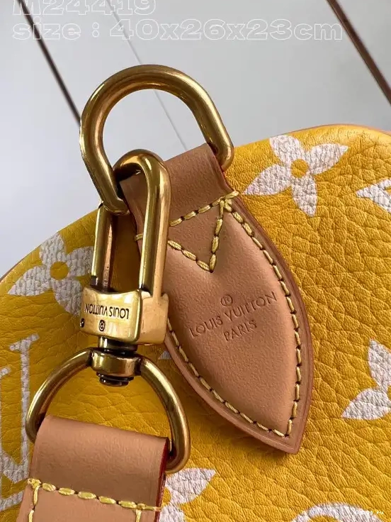 40 SPEEDY Vuitton Louis 0212