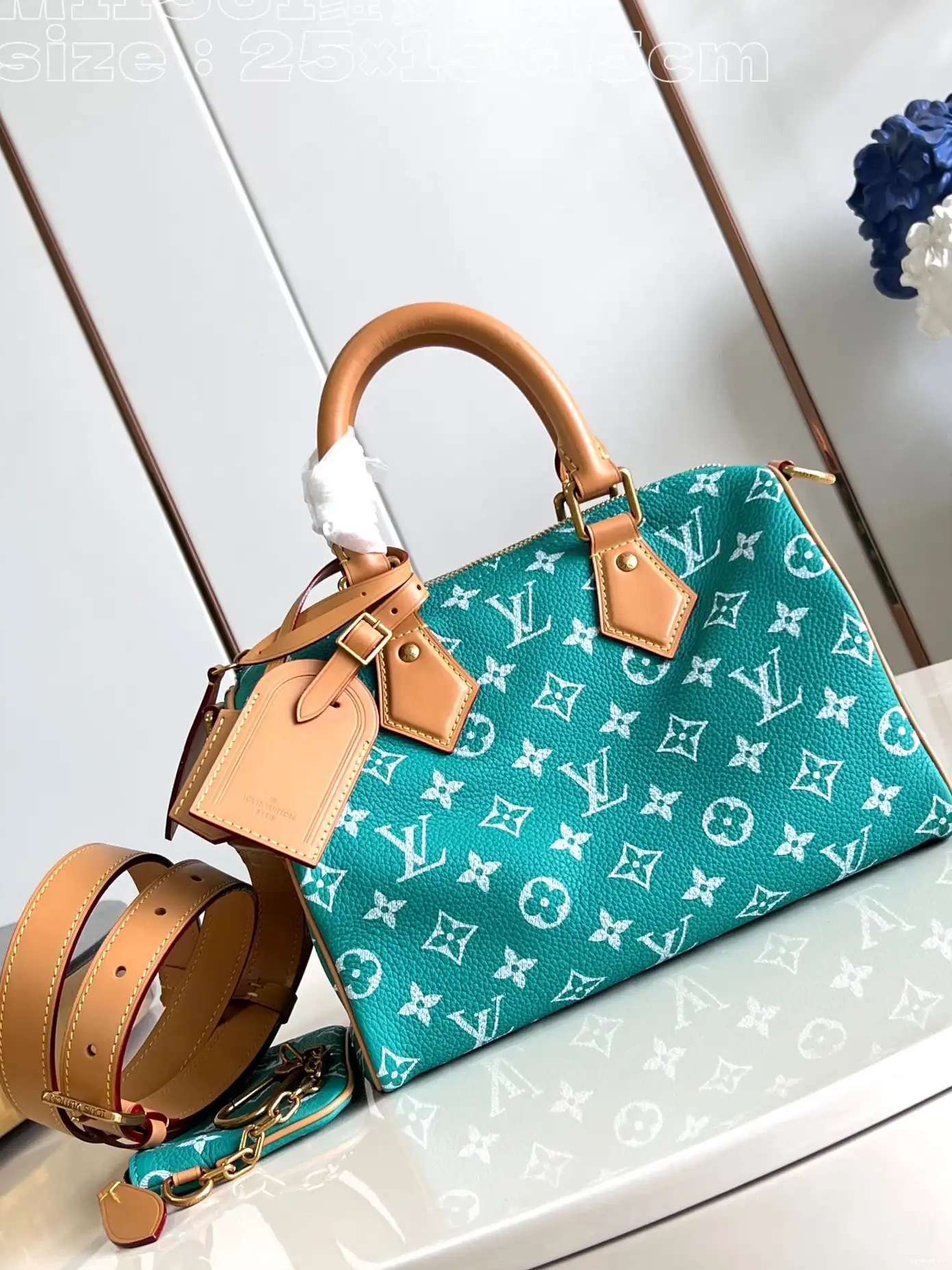 25 Vuitton Louis SPEEDY 0210