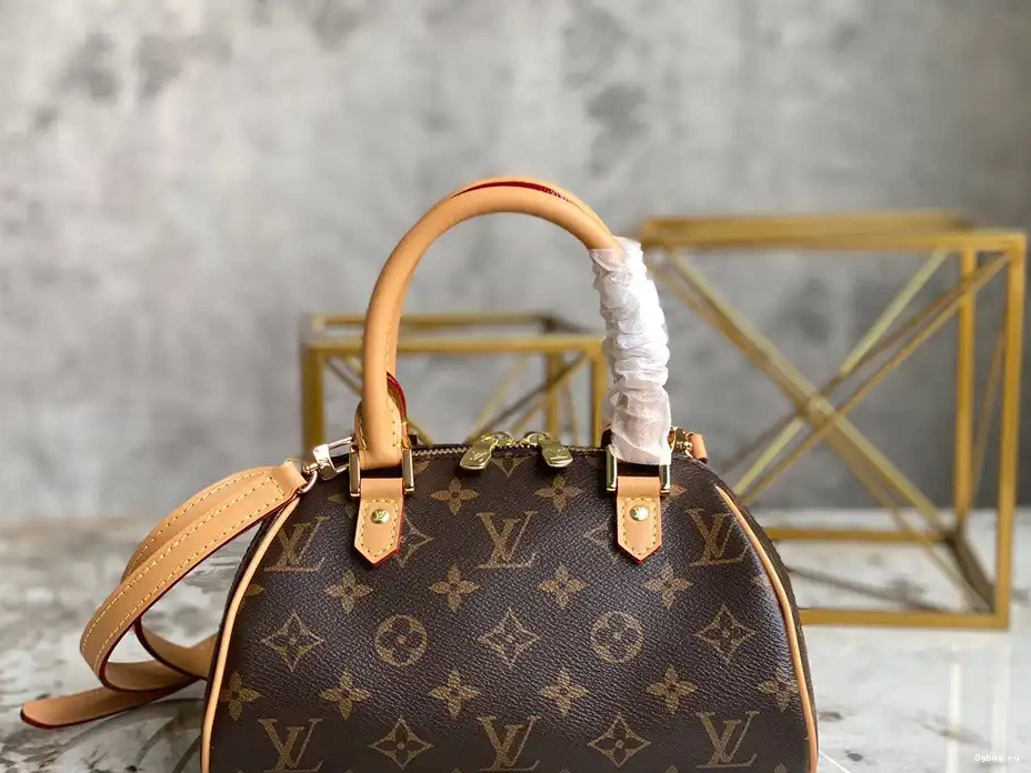 LOUIS VINTAGE VUITTON BAG 0226