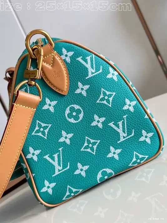 25 Vuitton Louis SPEEDY 0210