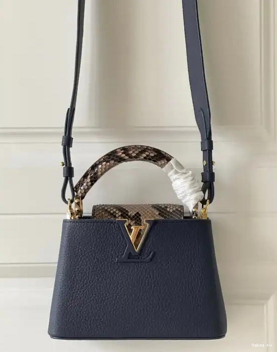 MINI VUITTON CAPUCINES LOUIS 0216