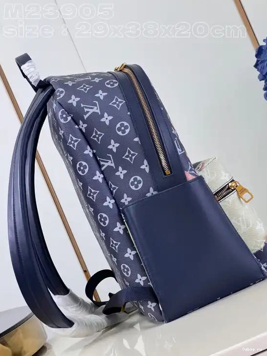 PM BACKPACK VUITTON LOUIS DISCOVERY 0218