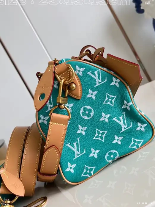 25 Vuitton Louis SPEEDY 0210