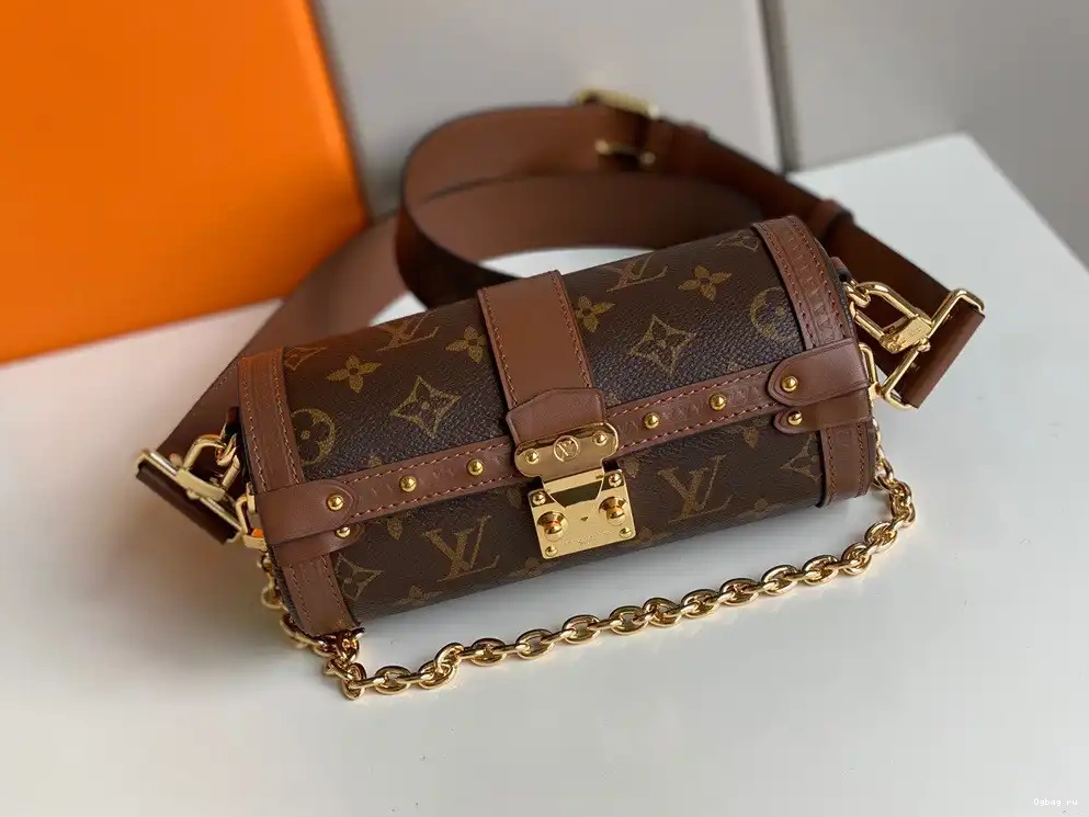 LOUIS PAPILLON VUITTON TRUNK 0212