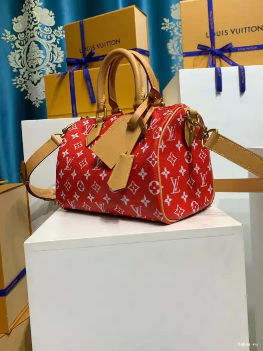 25 LOUIS Bandoulière  P9 Speedy VUITTON 0224