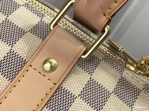 VUITTON KEEPALL LOUIS BANDOULIÈRE 50 0227