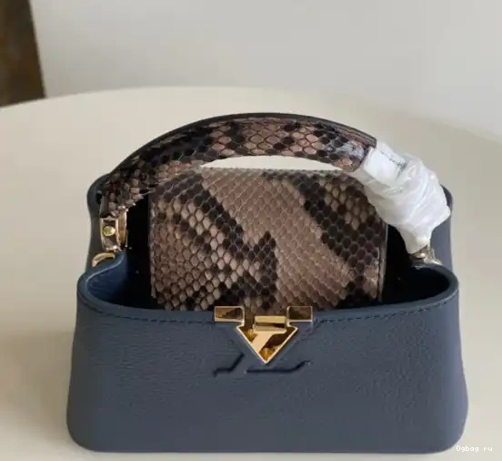 MINI VUITTON CAPUCINES LOUIS 0216