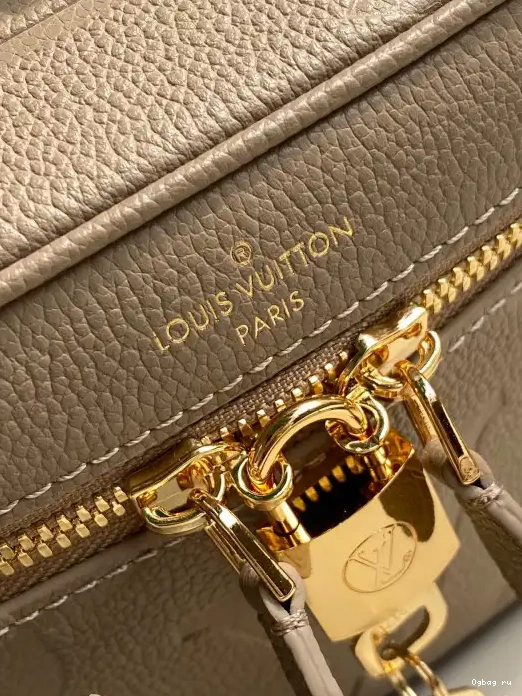 LOUIS VUITTON PM VANITY 0319